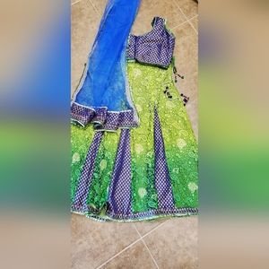 Indian chaniyacholi lahangacholi crocktop boliwood outfit